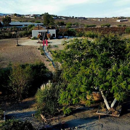 Finca Vidandrei Casa Mazahua Valle de Guadalupe Ngoại thất bức ảnh