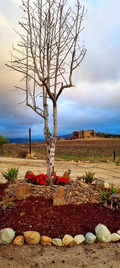 Finca Vidandrei Casa Mazahua Valle de Guadalupe Ngoại thất bức ảnh