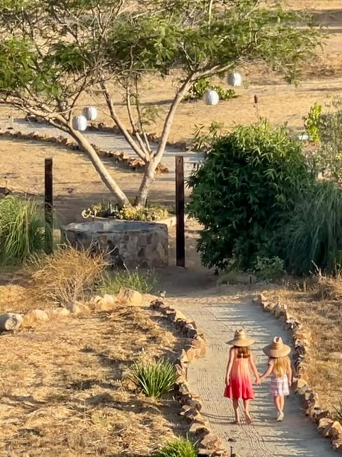 Finca Vidandrei Casa Mazahua Valle de Guadalupe Ngoại thất bức ảnh