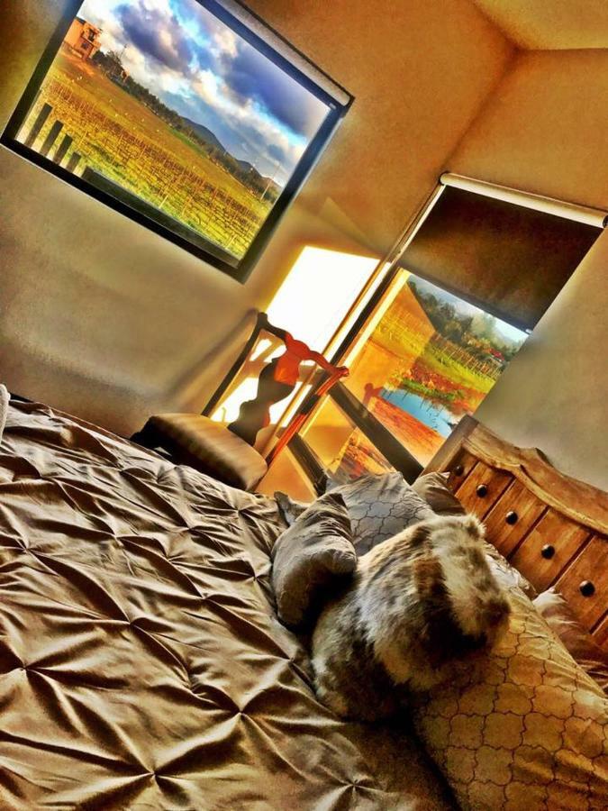Finca Vidandrei Casa Mazahua Valle de Guadalupe Ngoại thất bức ảnh